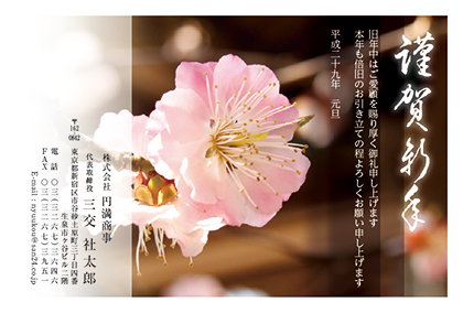 BIZ_055.jpg